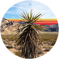 News and events in the desert southwest