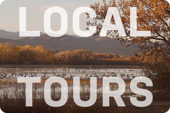 Link to information about local tours in South Central New Mexico